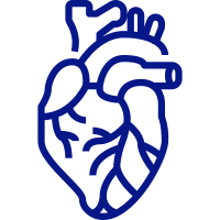 بخش قلب و عروق درمانگاه شبانه روزی درنیان خیابان حافظ٬ خیابان جامی٬ خیابان شیخ هادی پلاک ۱۸۶