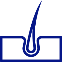بخش پوست، مو و زیبایی درمانگاه شبانه روزی درنیان واقع در خیابان حافظ، خیابات شیخ جامی، خیابان شیخ هادی ولاک ۱۸۶